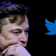 A photo of Elon Musk next to the Twitter logo.